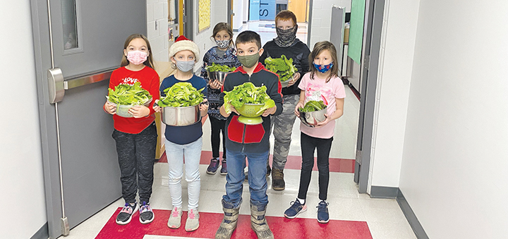 NY Agriculture In The Classroom ‘Grow With Us Grant’ Application Remains Open
